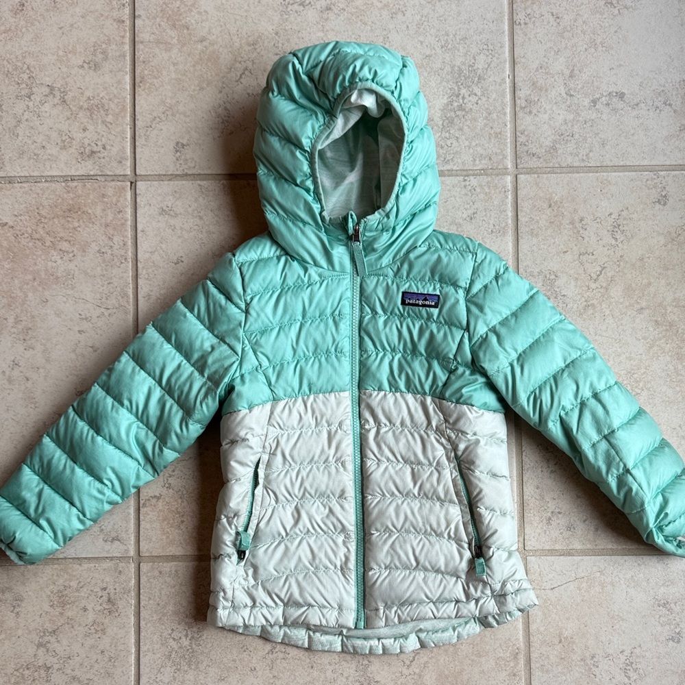 Patagonia Light Green and White Hooded Jacket